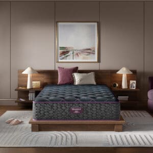 Beautyrest World Class Level Three Plush – King