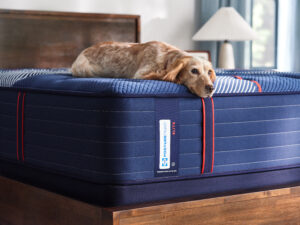 Sealy Posturepedic Elite Brenham II 15" Medium Mattress - Queen
