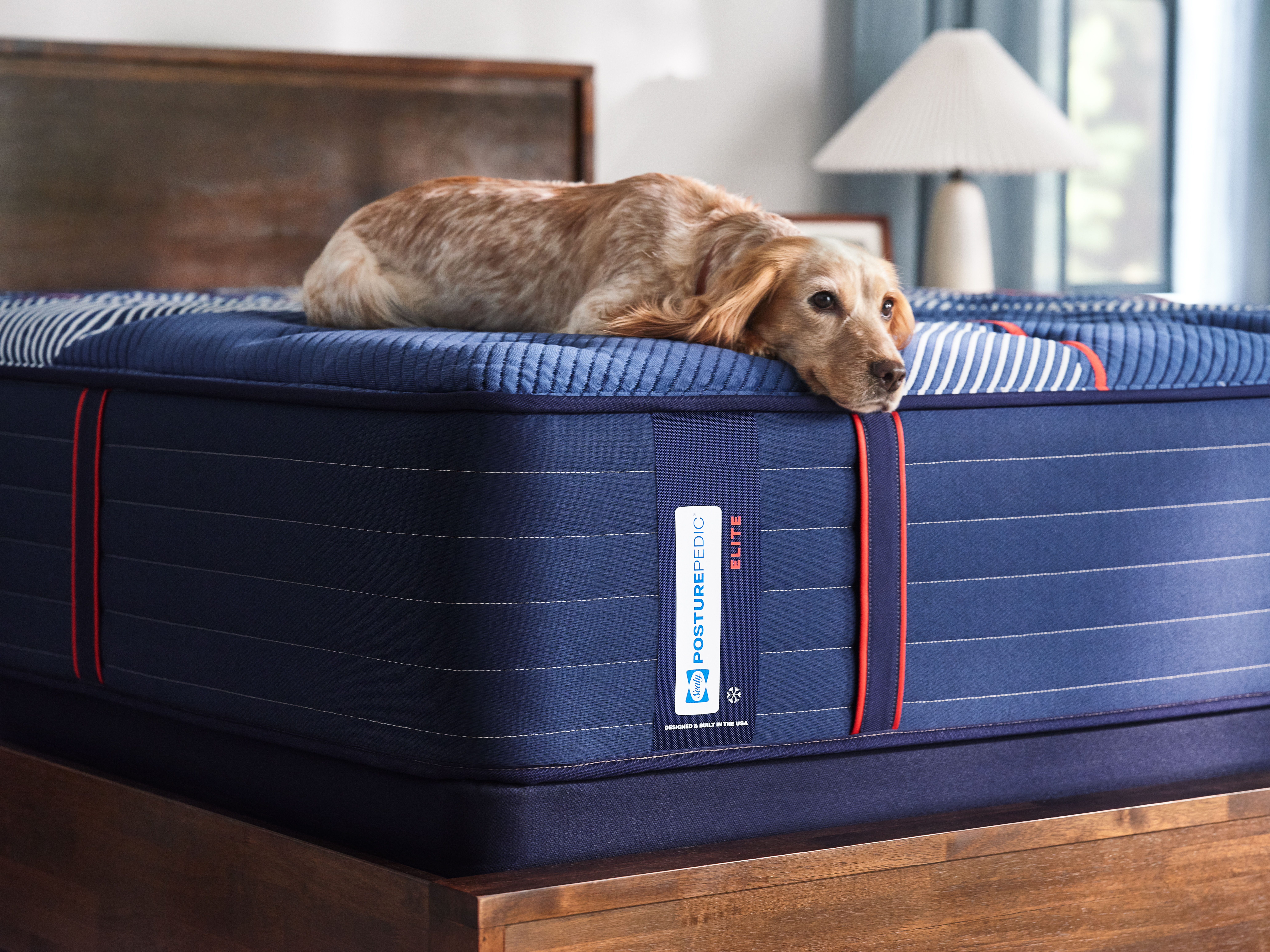 Sealy Posturepedic Elite Brenham II 15" Medium Mattress - Queen